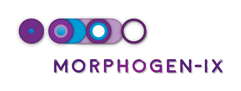 Morphogen-IX logo